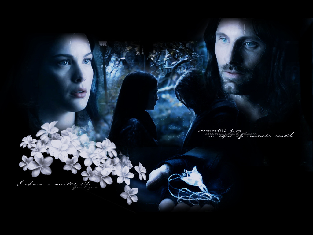 Arwen And Aragorn - Lord Of The Ring Aragorn Arwen , HD Wallpaper & Backgrounds