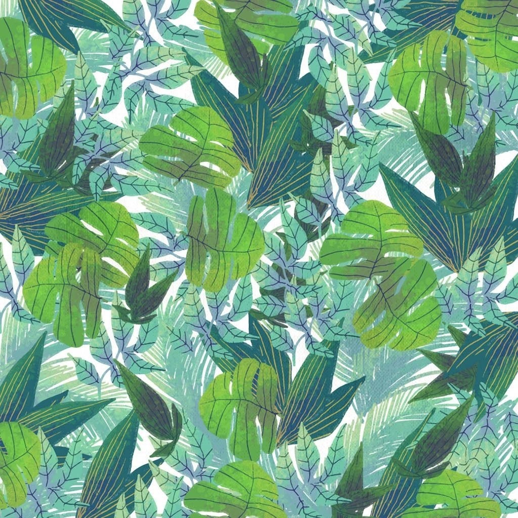 Cargando Zoom - - Empapelado Selva , HD Wallpaper & Backgrounds