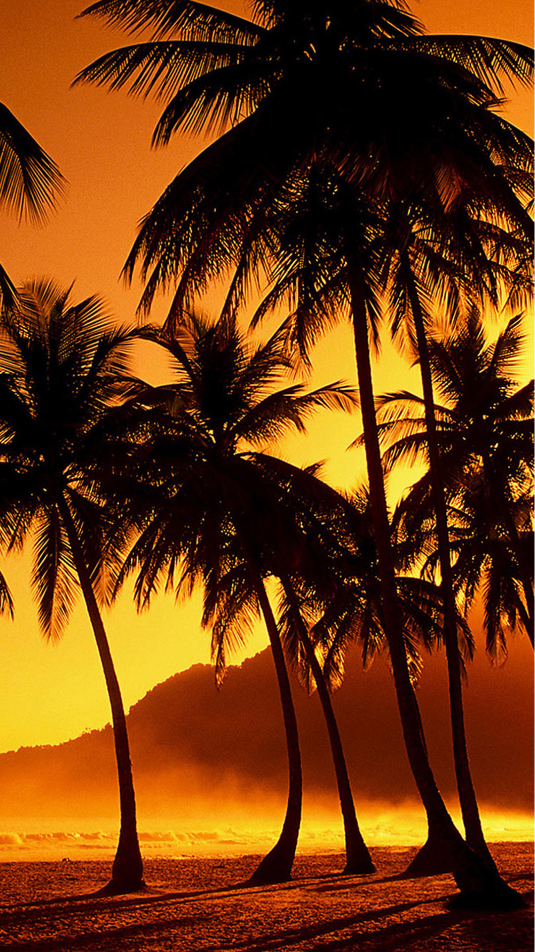 Nature Sunset Beach Coconut Grove Iphone 8 Wallpaper - Sunset With Coconut Trees , HD Wallpaper & Backgrounds