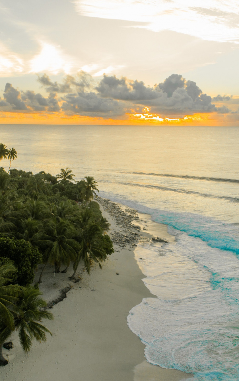 Downaload Tropical Beach, Sunset, Sunset, Palm Trees - Palm Trees Wallpaper Sunset Iphone , HD Wallpaper & Backgrounds