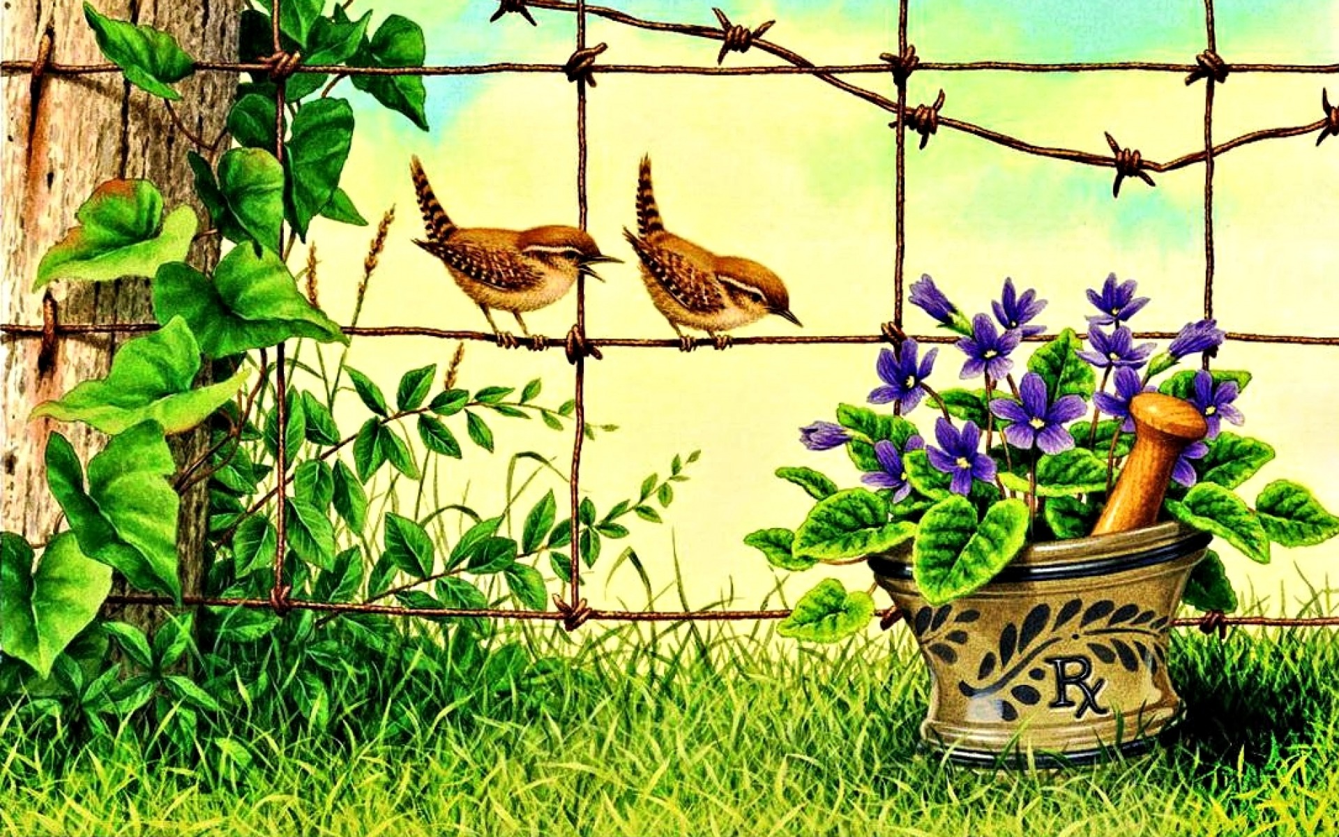 Grass Fence Birds Flower Pot Wallpapers And Stock Photos - Flower Wallpaper Pot , HD Wallpaper & Backgrounds