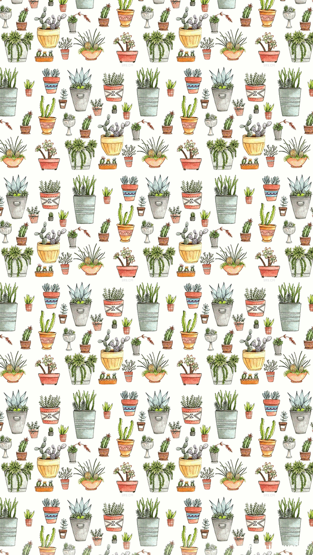 Download - Iphone Wallpaper Hd Tumblr Cactus , HD Wallpaper & Backgrounds