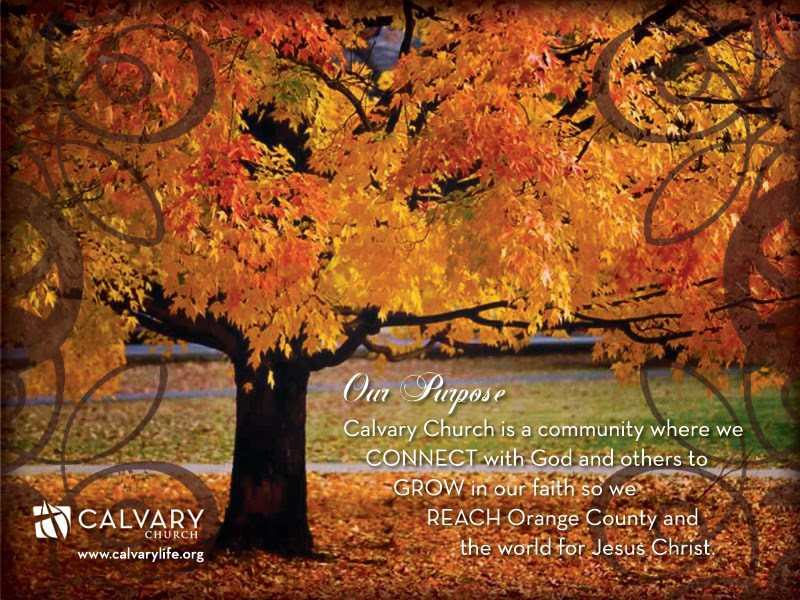 Thanksgiving Wallpapers Screensavers Free Thanksgiving - Sugar Maple Trees Fall , HD Wallpaper & Backgrounds