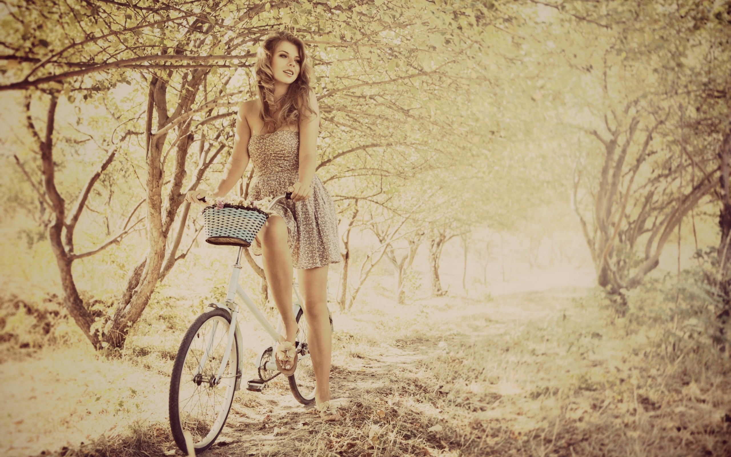 Cute Bicycle Wallpaper , HD Wallpaper & Backgrounds