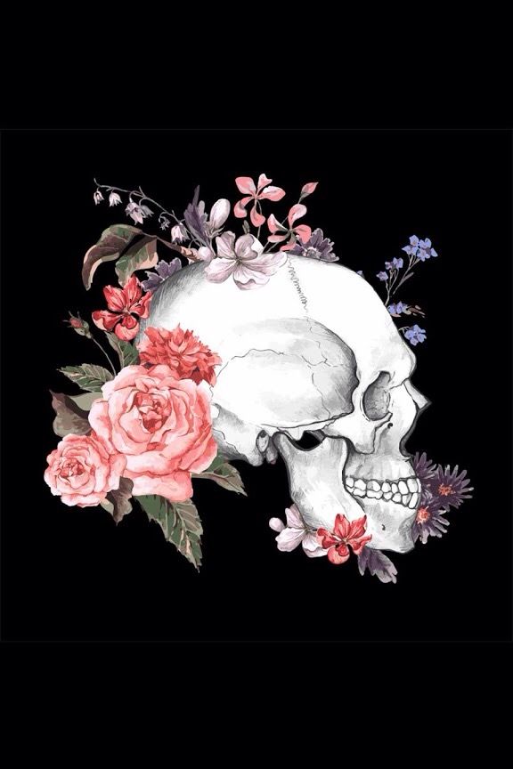 Skull & Flowers - Dramatic Rose Drawings , HD Wallpaper & Backgrounds