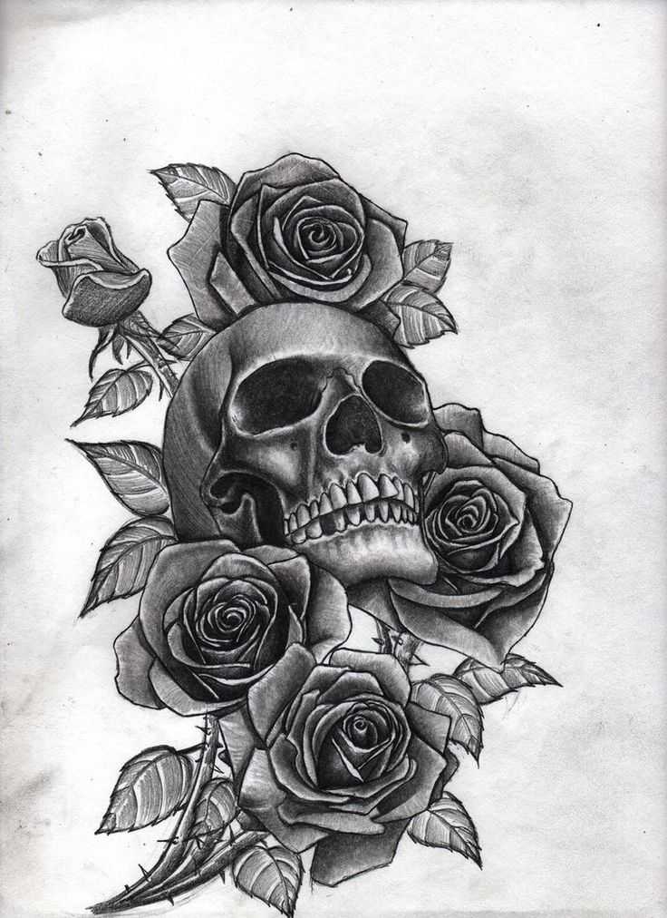 Best 25 Skull Rose Tattoos Ideas On Pinterest - Skull And Roses Drawing , HD Wallpaper & Backgrounds