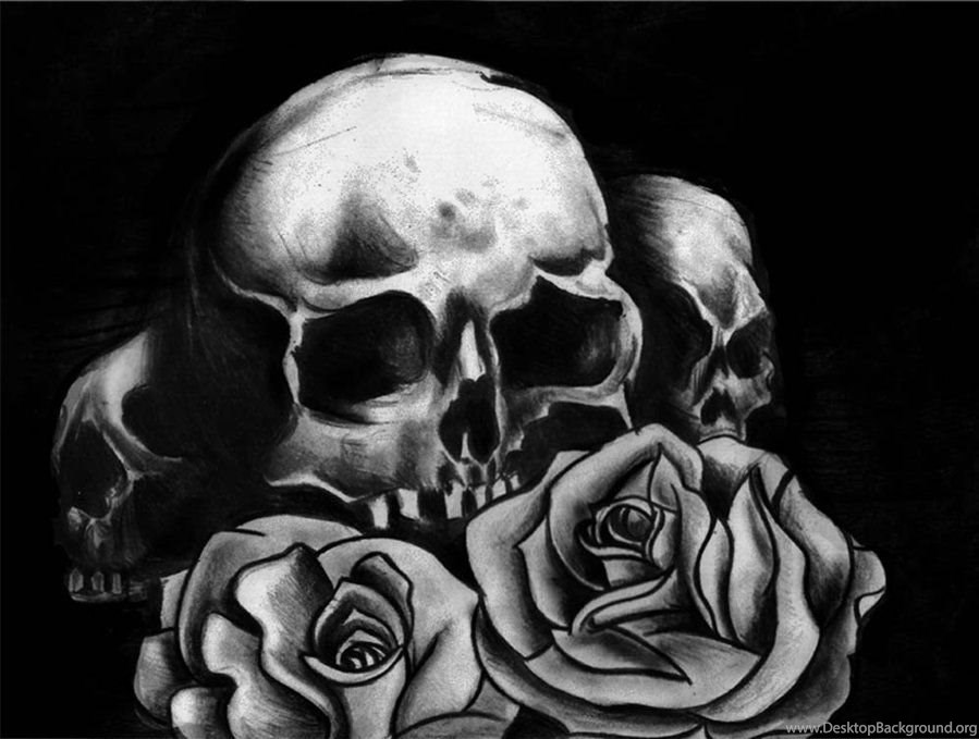 Skull Rose User Image Source - Skull , HD Wallpaper & Backgrounds