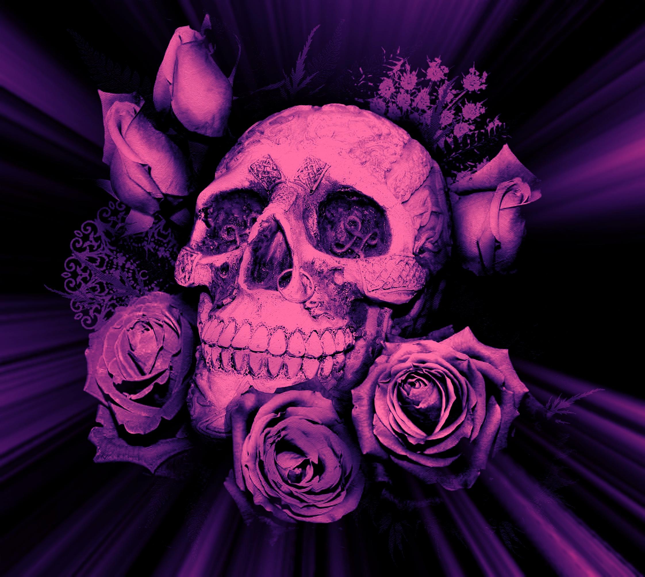 Purple Skulls And Roses Wallpaper - Pink And Purple Skull , HD Wallpaper & Backgrounds