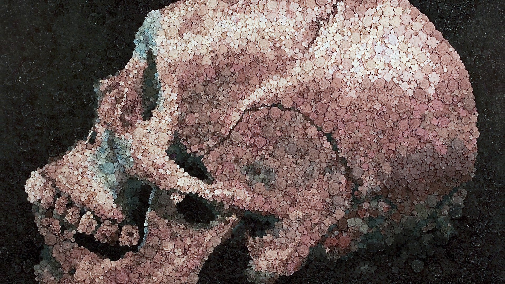 Skull Rose Flowers Painting Transformation Bones Skull - Skull , HD Wallpaper & Backgrounds
