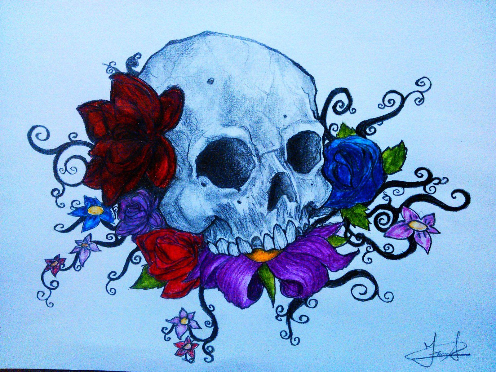 Skulls And Flowers Wallpapers - Skulls And Flowers And Drawings , HD Wallpaper & Backgrounds
