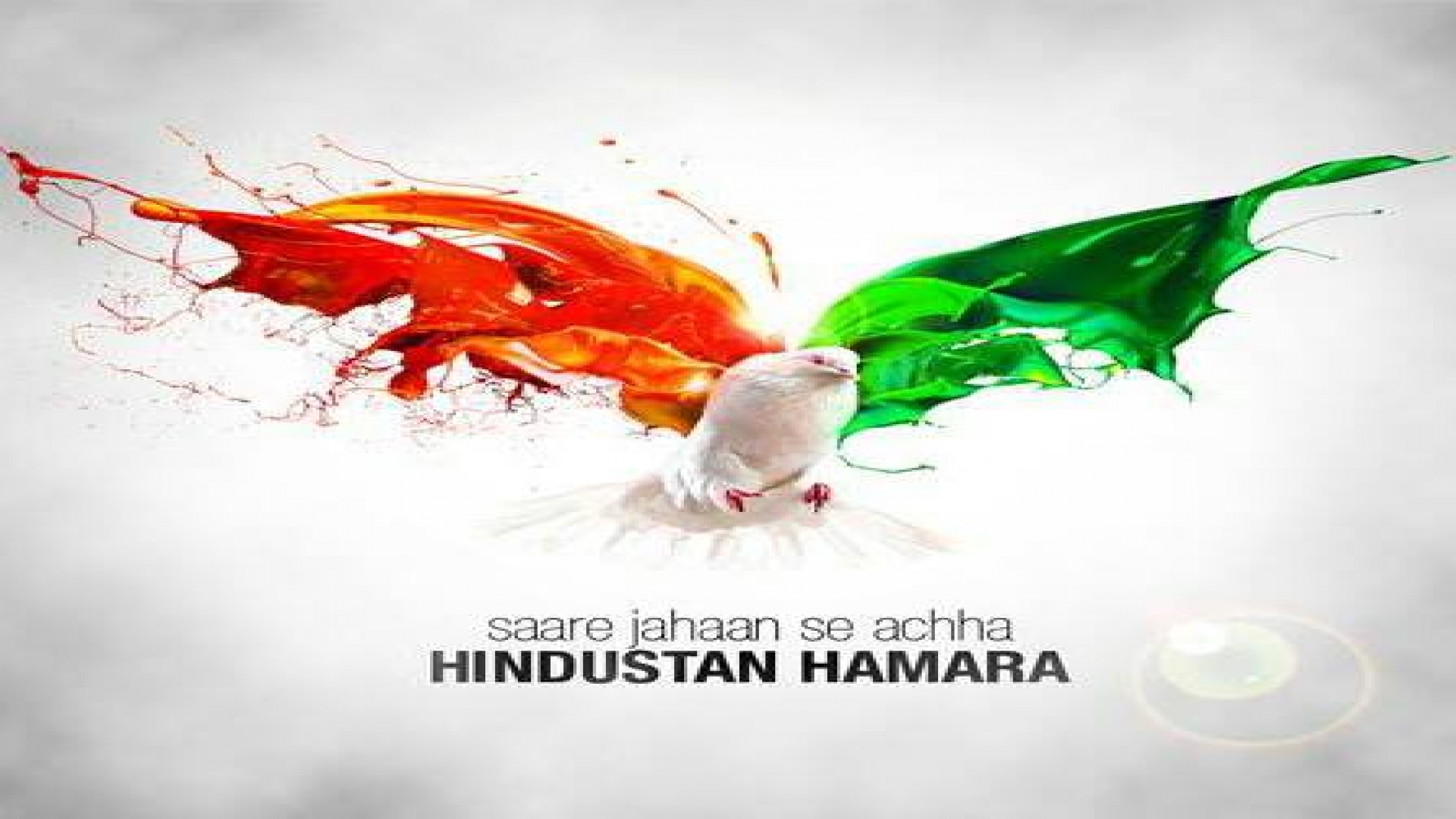 Image Id - 100692335 - Tricolor Pics - Indian Flag With Pigeon , HD Wallpaper & Backgrounds