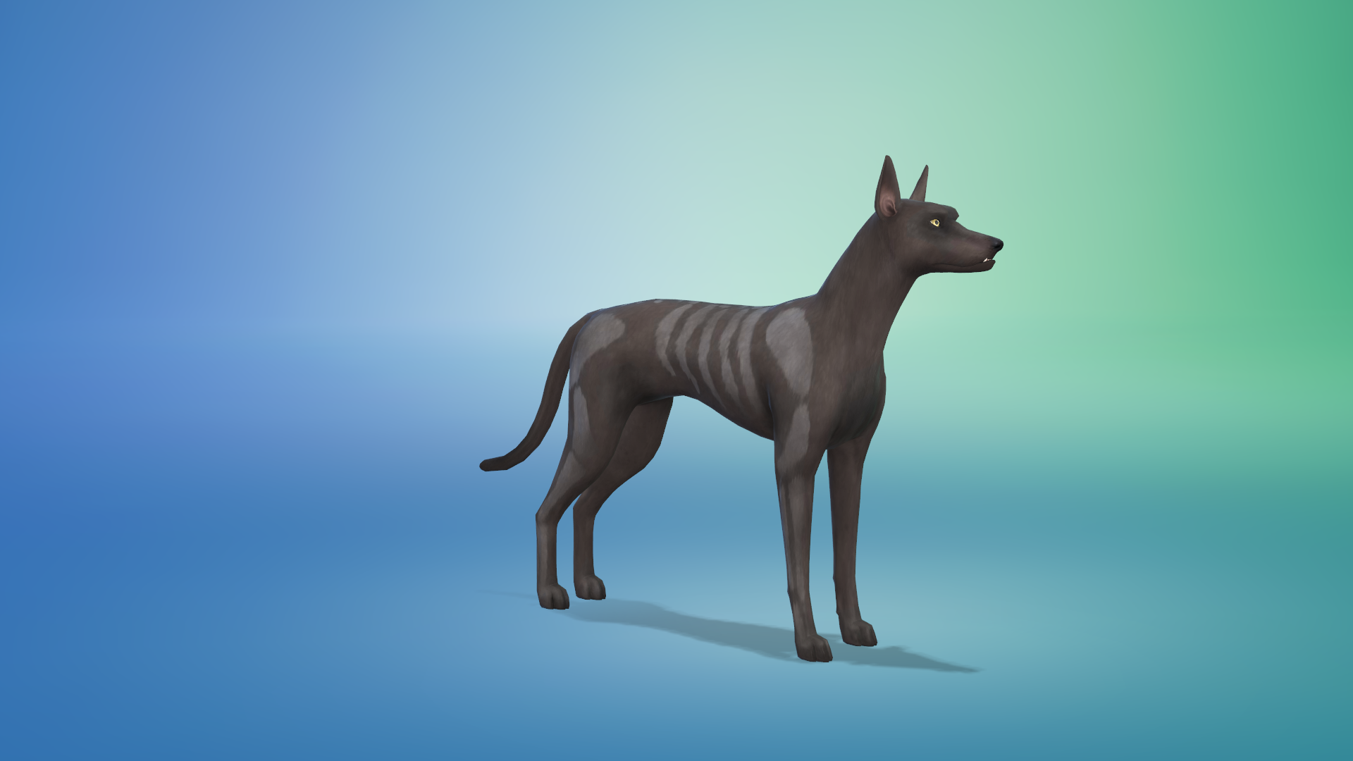 Sims 4 Vampire Dog , HD Wallpaper & Backgrounds