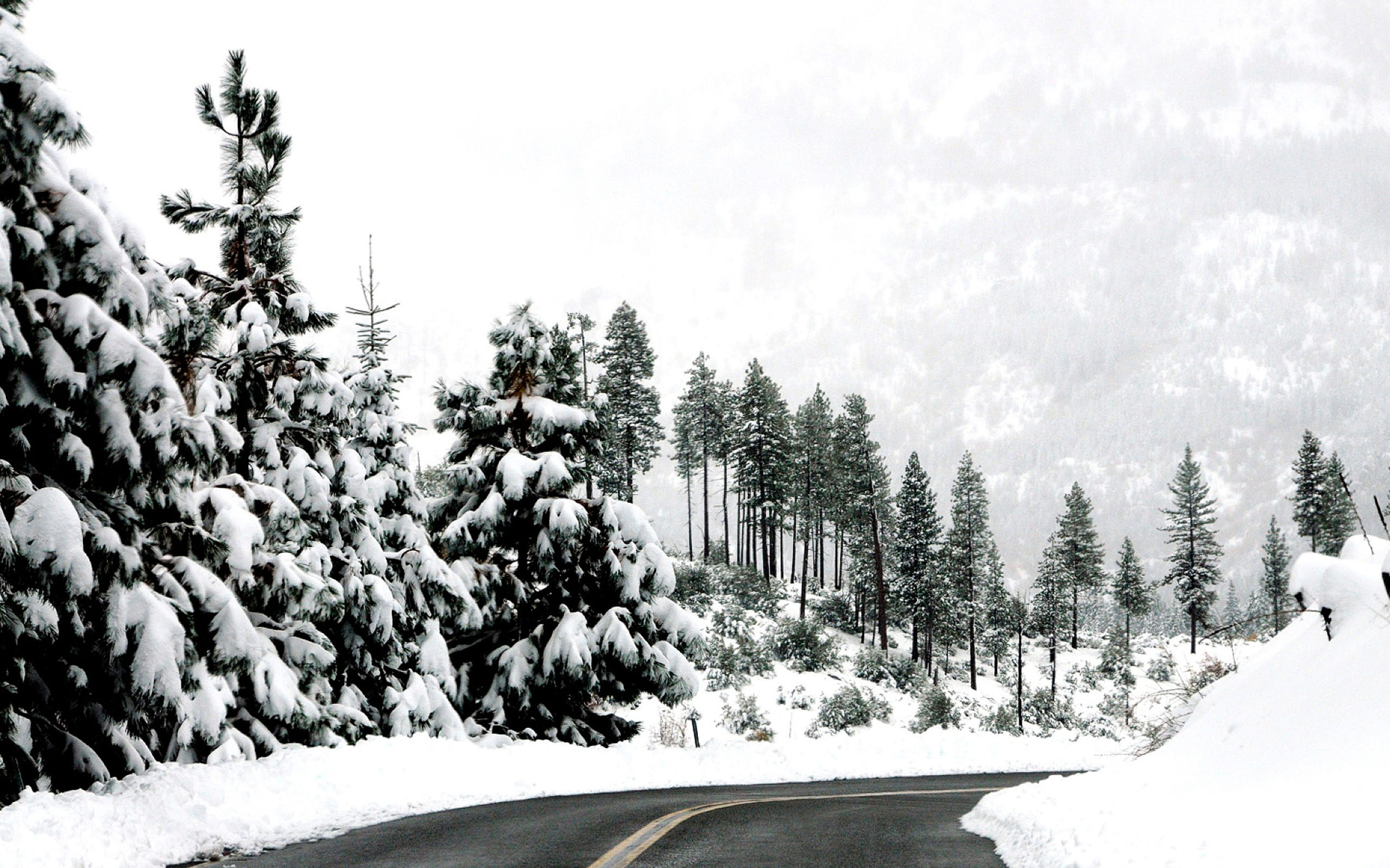 Preview Winter Road Wallpaper , HD Wallpaper & Backgrounds