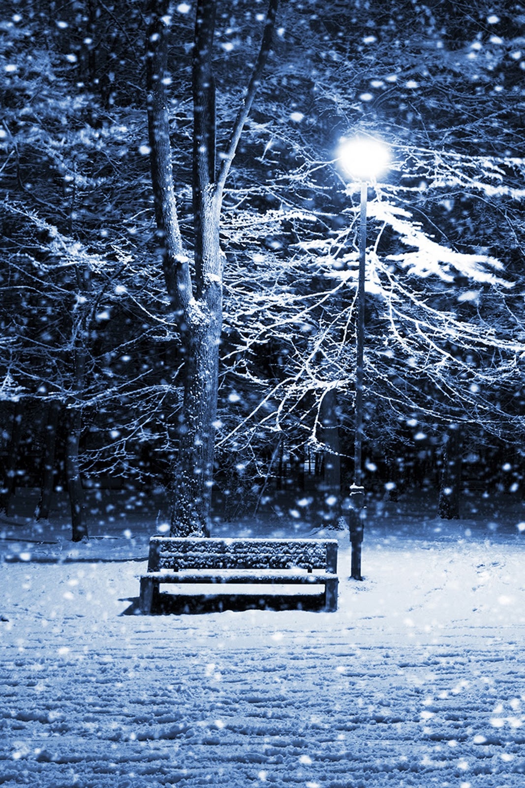 Snowy Night Iphone Wallpaper - Winter Wallpaper Hd Iphone 5 , HD Wallpaper & Backgrounds