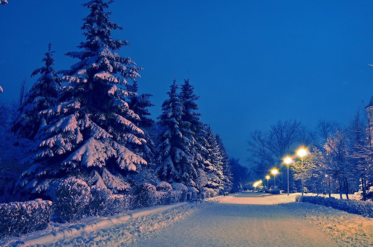 Snowy Night Wallpaper - Winter Wallpaper Night Snow , HD Wallpaper & Backgrounds