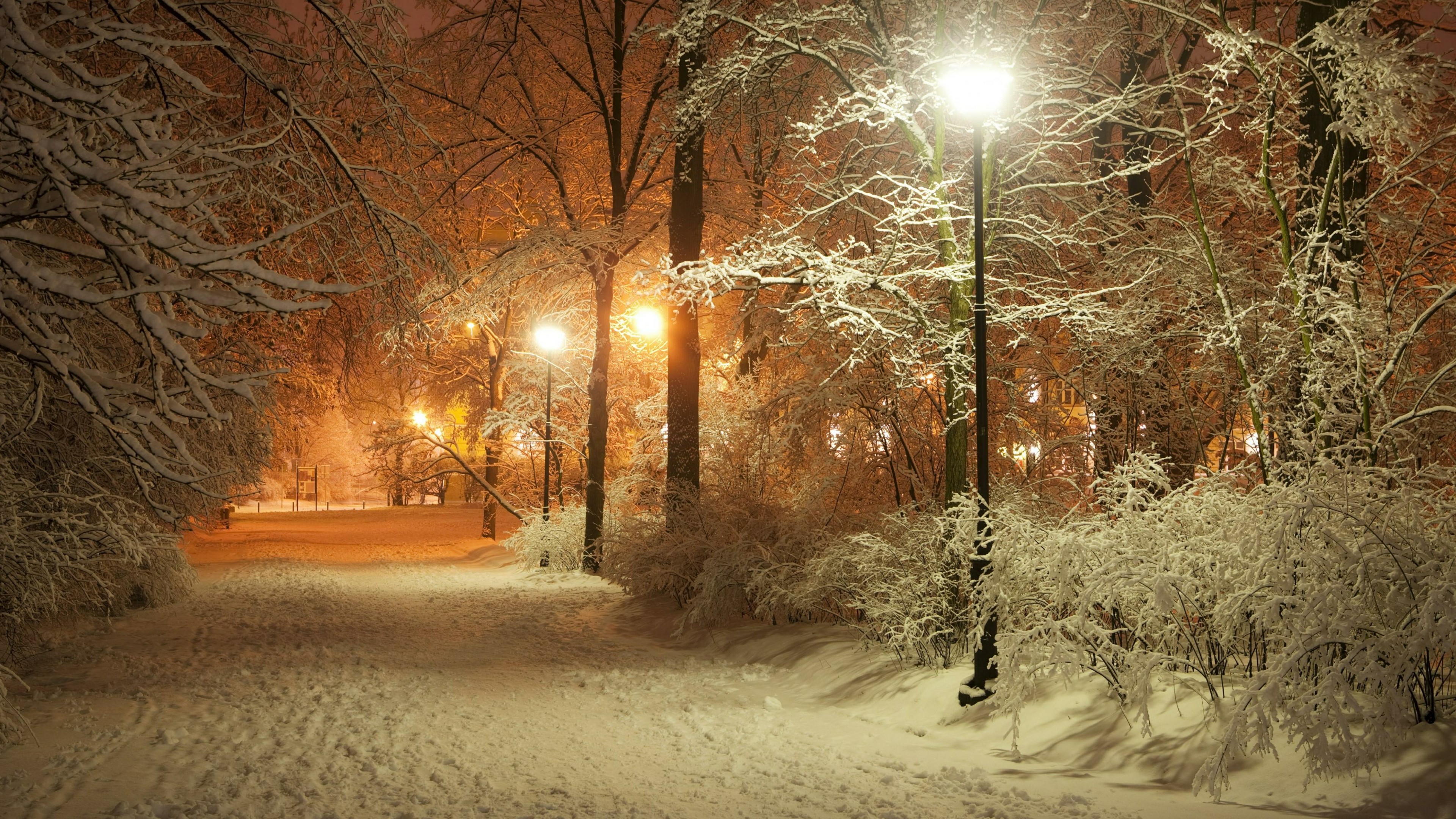 Landscape Portrait - Snow And Street Lights , HD Wallpaper & Backgrounds