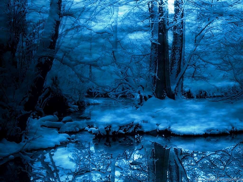 Winter Night Forest Blue Hd Wallpaper Backgrounds Download