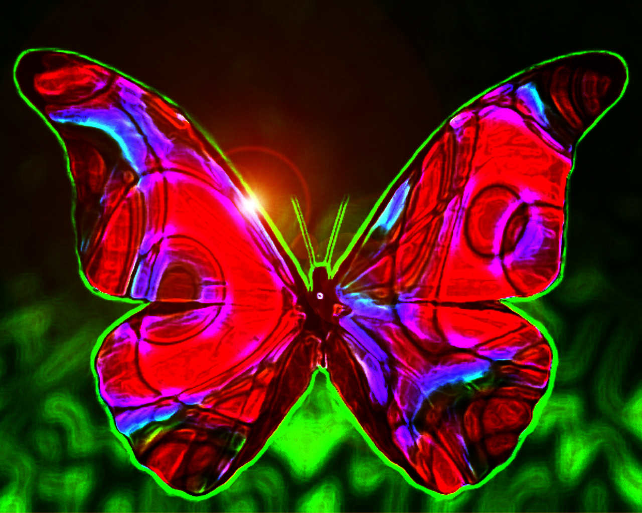 Black And Red Butterfly Wallpaper Full Hd - Beautiful Butterflies , HD Wallpaper & Backgrounds