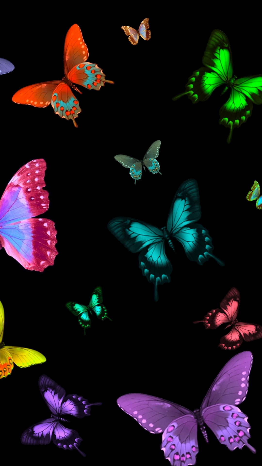 Butterflies On Black Background (#985099) - HD Wallpaper & Backgrounds ...