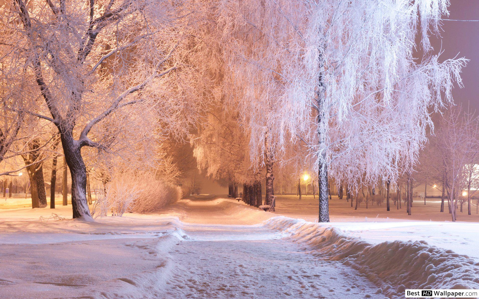 Wide - Winter Night Time Photography , HD Wallpaper & Backgrounds