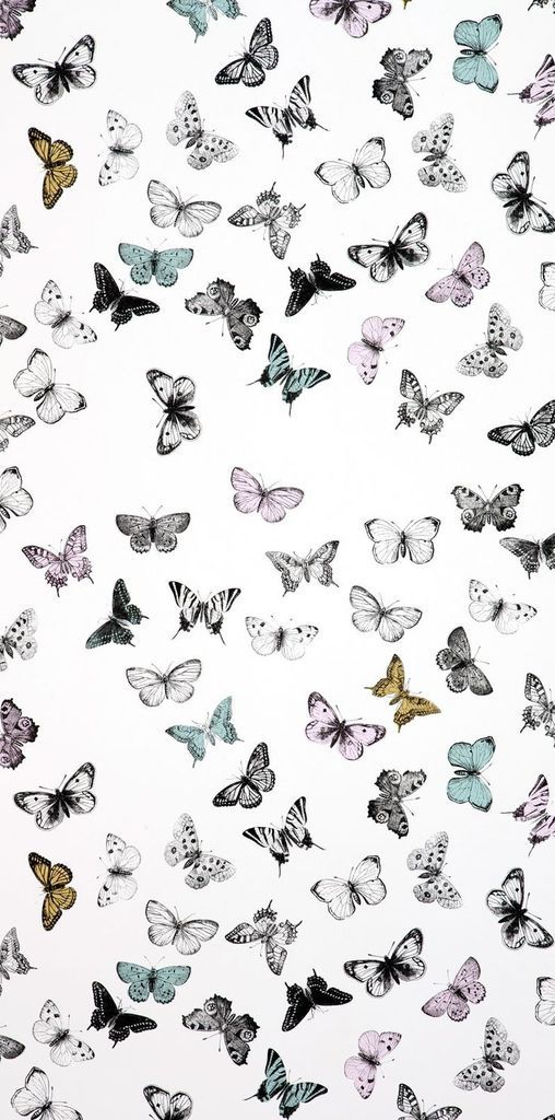 Image Result For Butterfly Wallpaper Tumblr - Butterfly Iphone Background , HD Wallpaper & Backgrounds