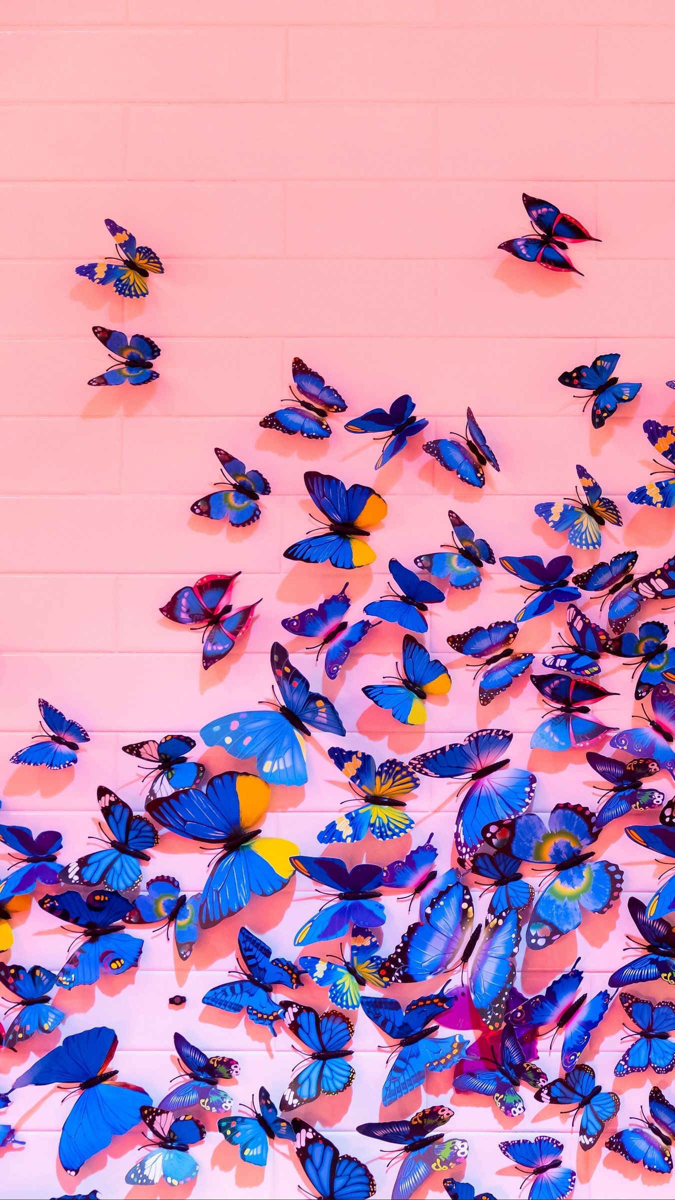 Sunflower Iphone Wallpaper, Pink Wallpaper Iphone, - Butterfly Images Hd , HD Wallpaper & Backgrounds