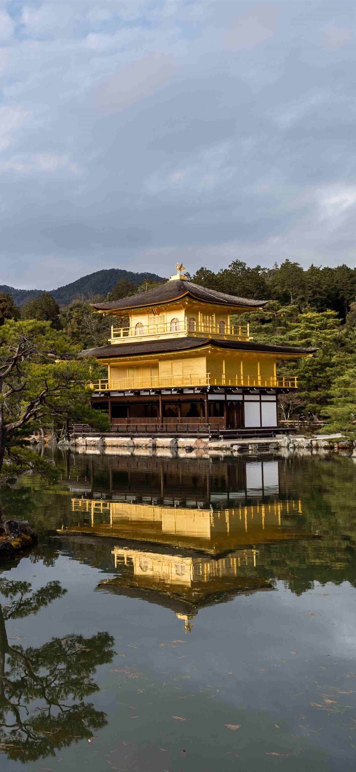 Wallpaper Golden Pavilion Temple Pond Trees Japan - Kinkaku-ji , HD Wallpaper & Backgrounds