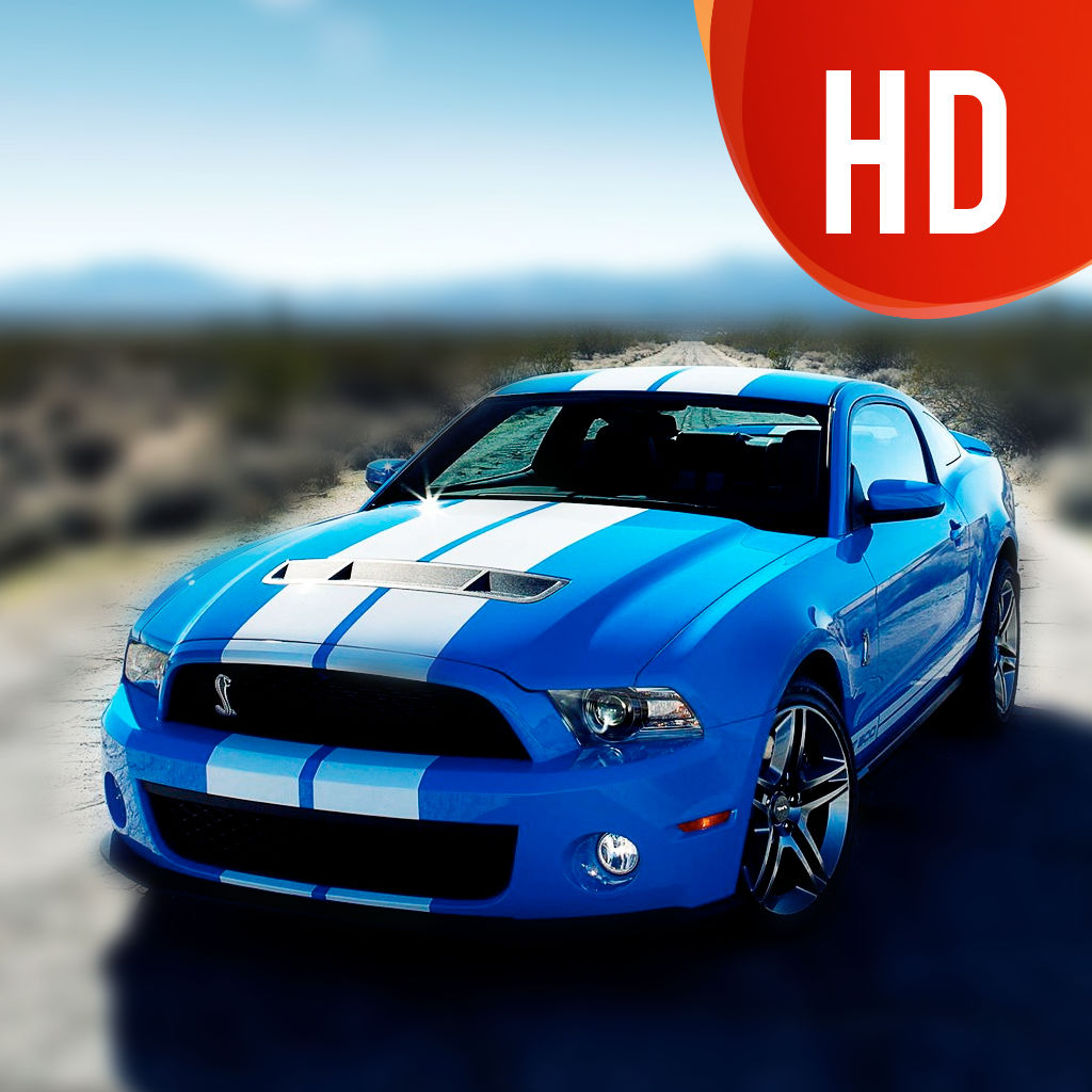 Most Amazing Luxury Sports Car Hd Screen Wallpaper - Mustang Shelby Cobra 2010 , HD Wallpaper & Backgrounds