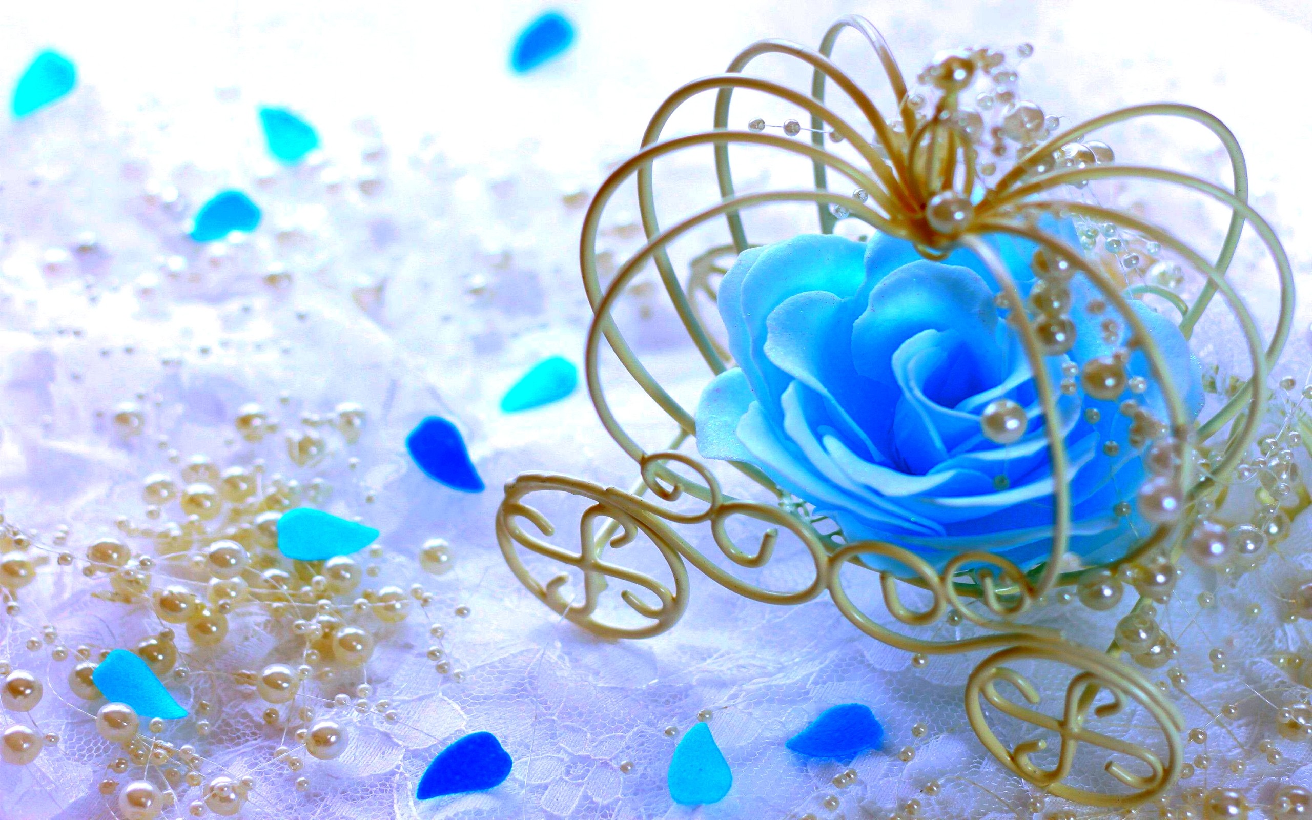 Color Pearls Precious Rose Flower Cyan Wallpapers Hd - Flower Cyan Color , HD Wallpaper & Backgrounds