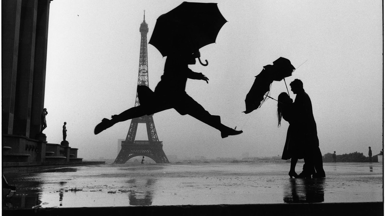 Black And White Paris Wallpaper For Iphone - Elliott Erwitt , HD Wallpaper & Backgrounds