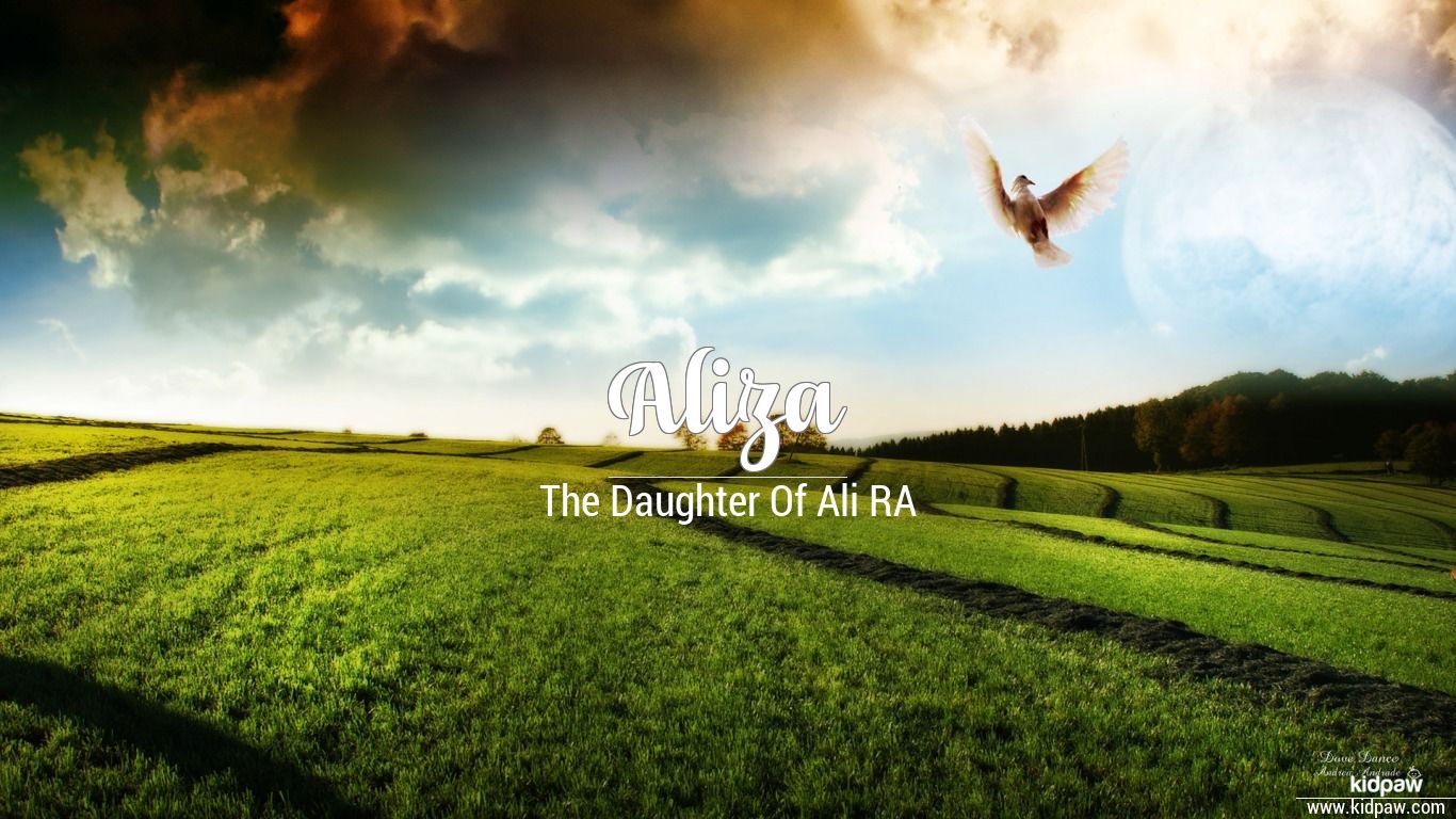 Aliza Name Wallpaper - Aliza Name Meaning In Hindi , HD Wallpaper & Backgrounds