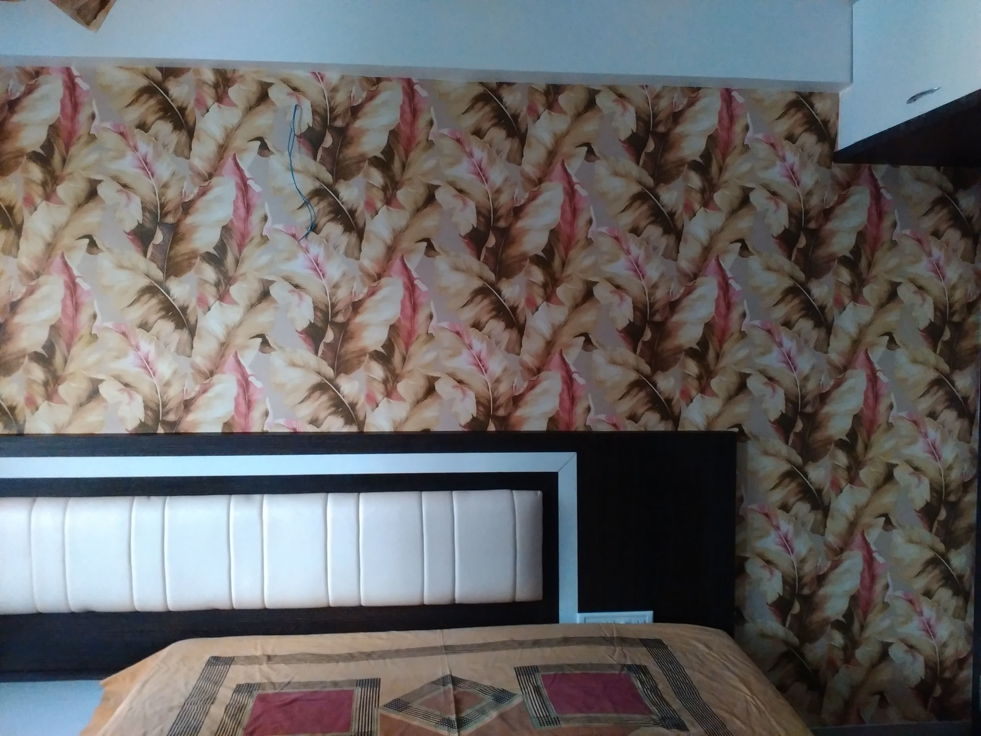 Ankit Carpet & Furnishing Photos, Kalewadi, - Rosy Maple Moth , HD Wallpaper & Backgrounds
