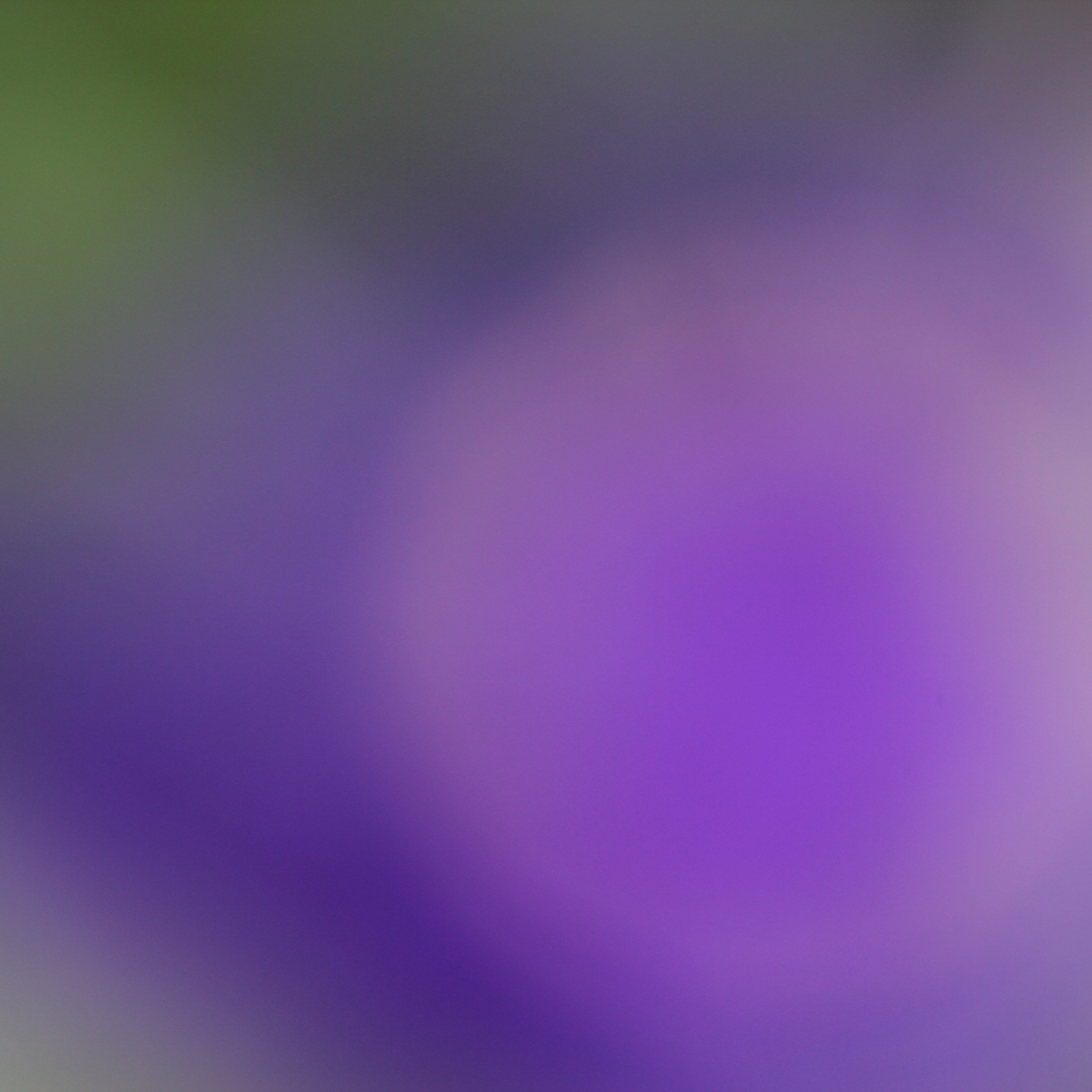Gradient, Blur, Bluish, Abstract, Wallpaper - Lilac , HD Wallpaper & Backgrounds