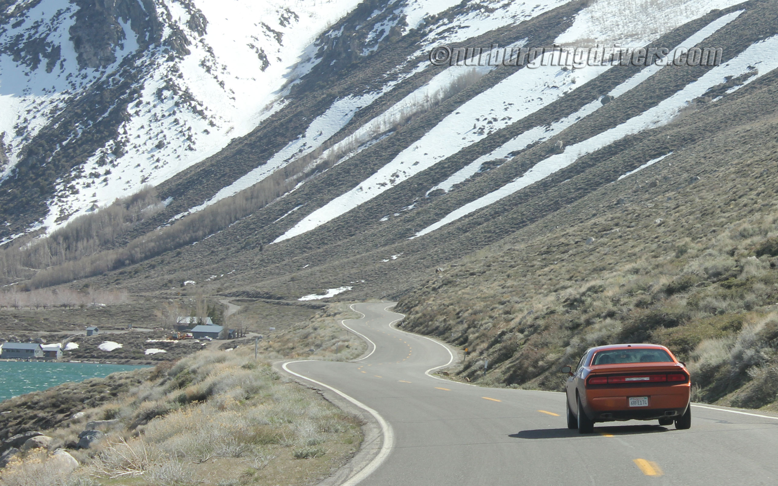 Free Wallpaper - Dodge Challenger On Road , HD Wallpaper & Backgrounds