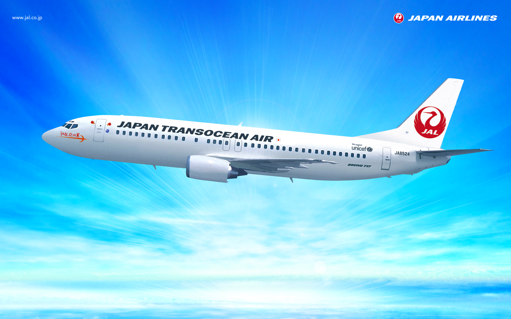 Wallpaper Download - Japan Airlines , HD Wallpaper & Backgrounds