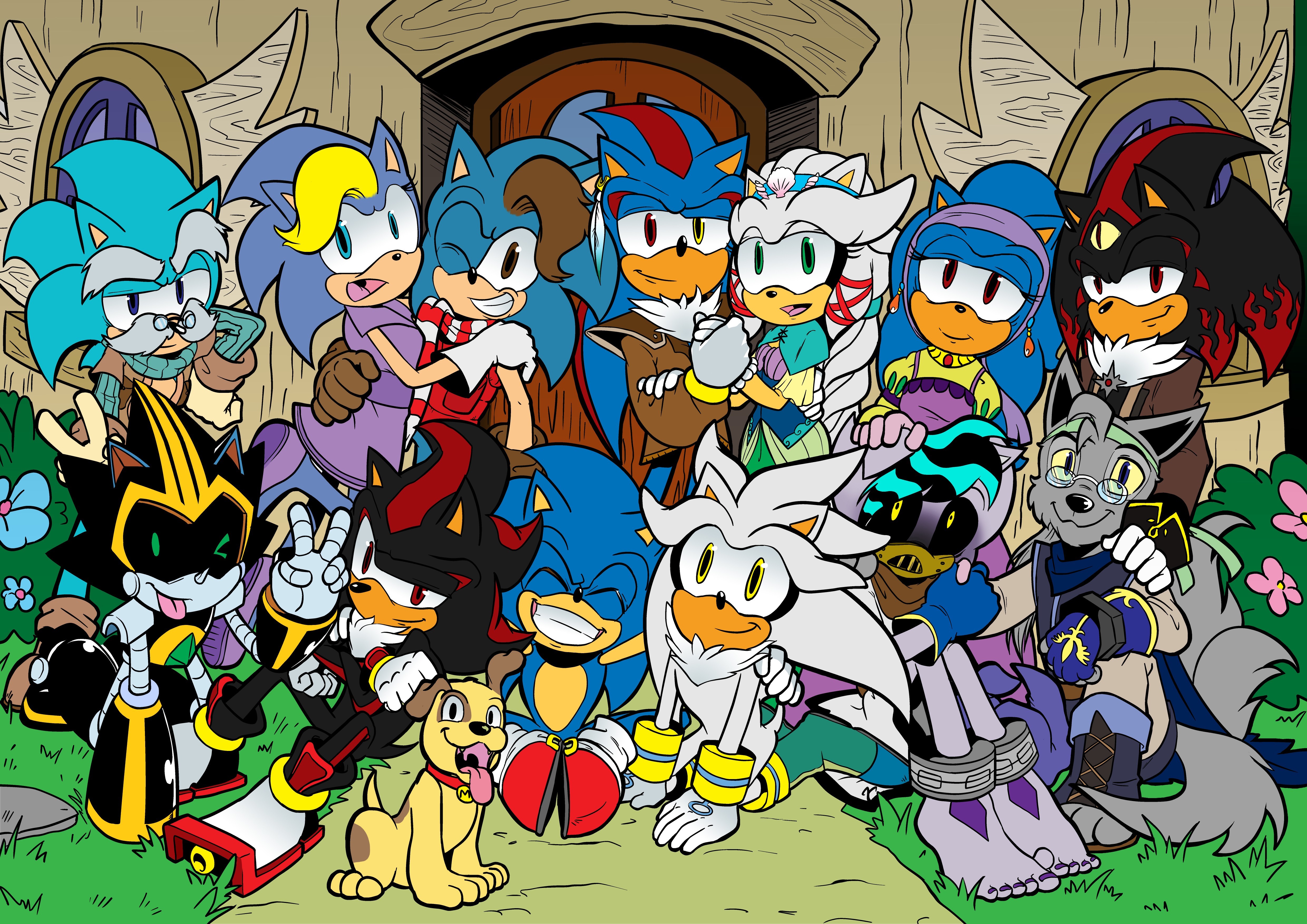 Original Characters Anthro Sonic Sonic The Hedgehog , HD Wallpaper & Backgrounds