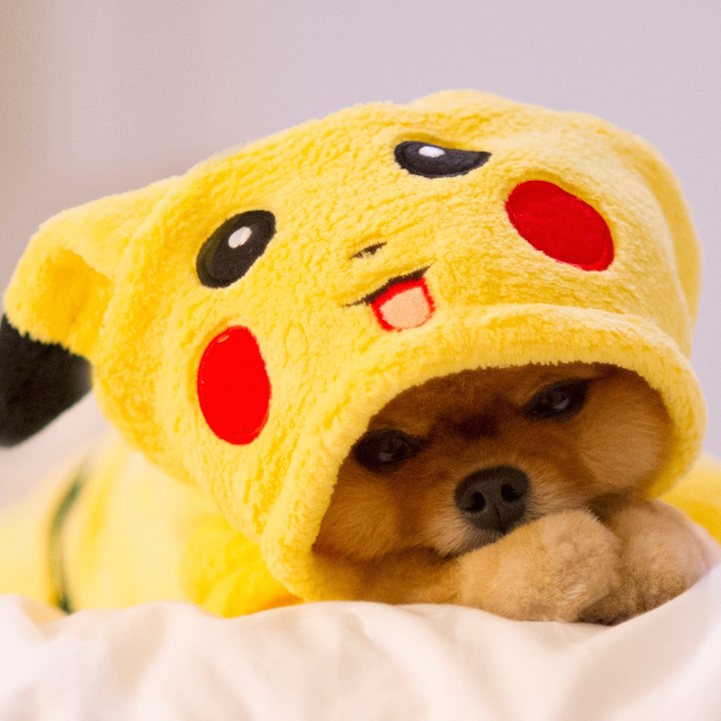 See Jiff Eat - Cute Puppies Pikachu , HD Wallpaper & Backgrounds