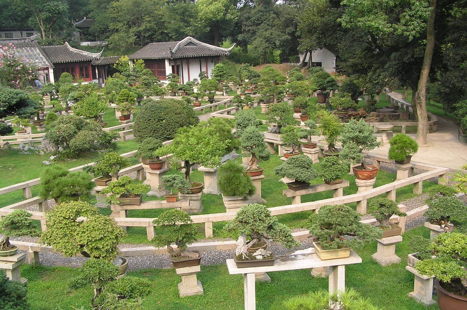 Bonsai Tree - Penjing Gardens , HD Wallpaper & Backgrounds