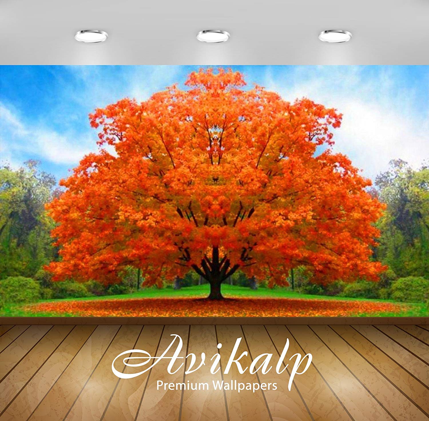 Buy Avikalp Awi3299 Orange Bonsai Tree Nature Full - High Resolution Orange Trees , HD Wallpaper & Backgrounds