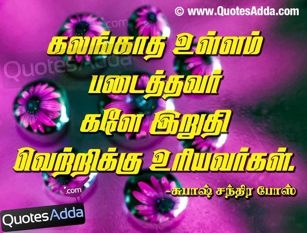 Tamil Nice Quotes By Subhash Chandra Bose, Best Tamil - Flower , HD Wallpaper & Backgrounds