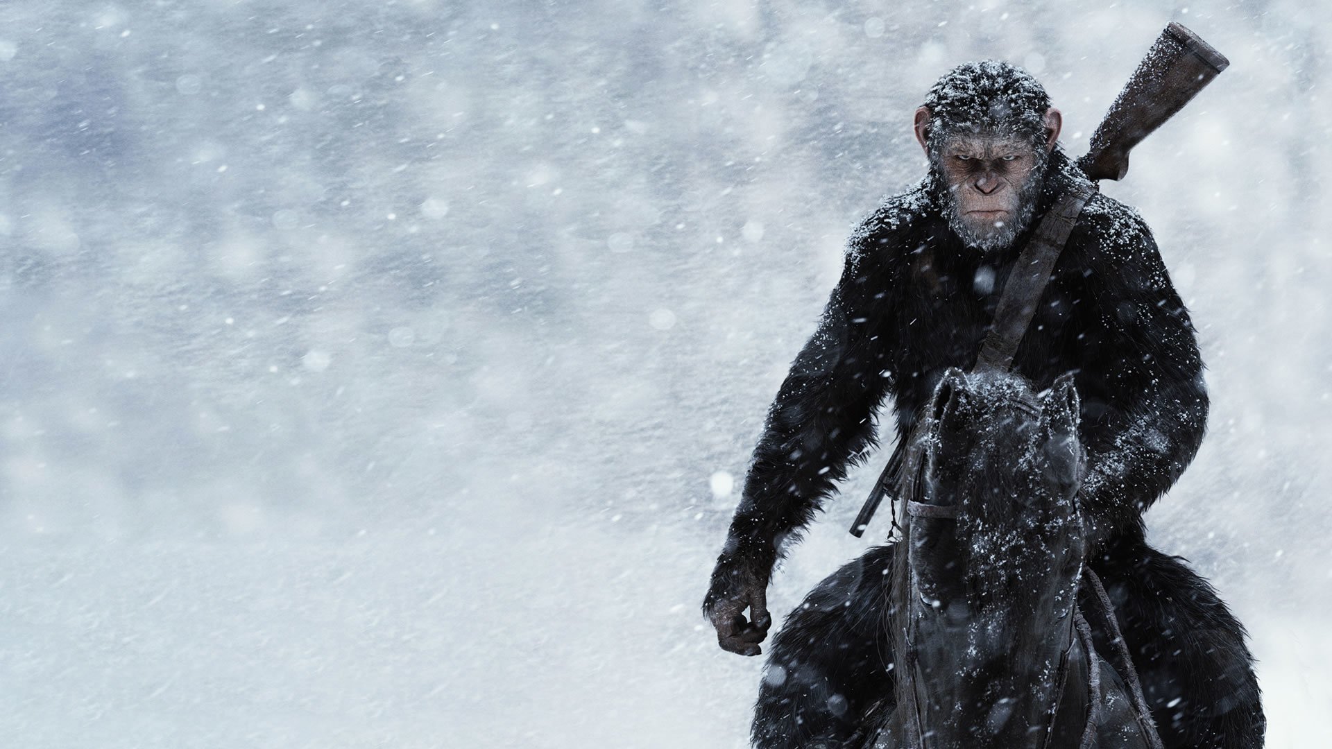 Hd Wallpaper - War For The Planet Of The Apes Official Poster , HD Wallpaper & Backgrounds