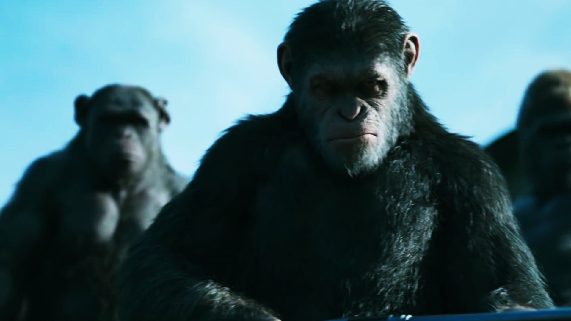 Download Original Resolution - Planet Of The Apes , HD Wallpaper & Backgrounds