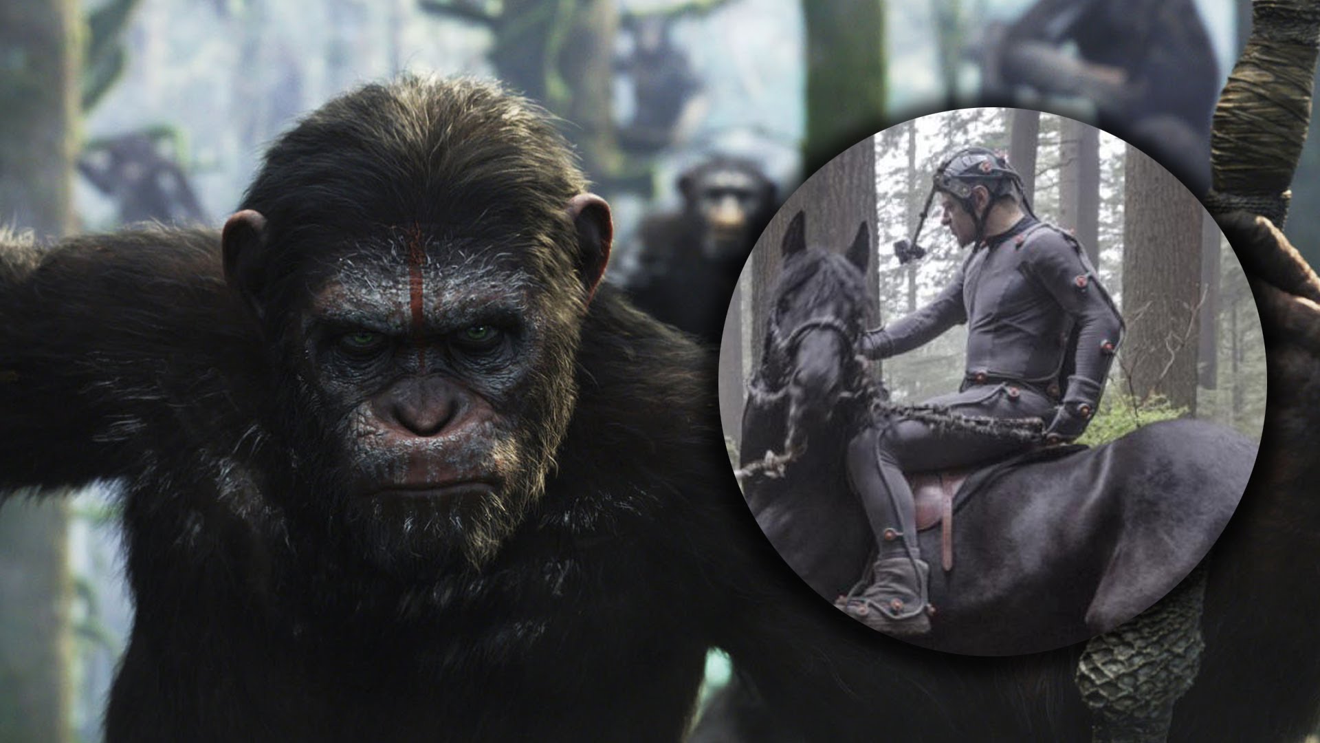 Dawn Of The Planet Of The Apes Wallpaper - Dawn Of The Planet Of The Apes , HD Wallpaper & Backgrounds